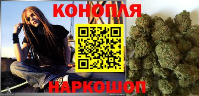 Альфа ПВП Малгобек