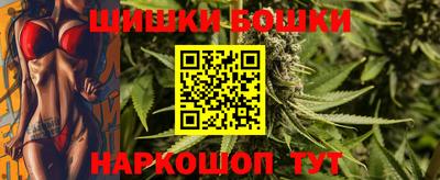 Альфа ПВП Малгобек