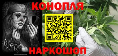 Альфа ПВП Малгобек