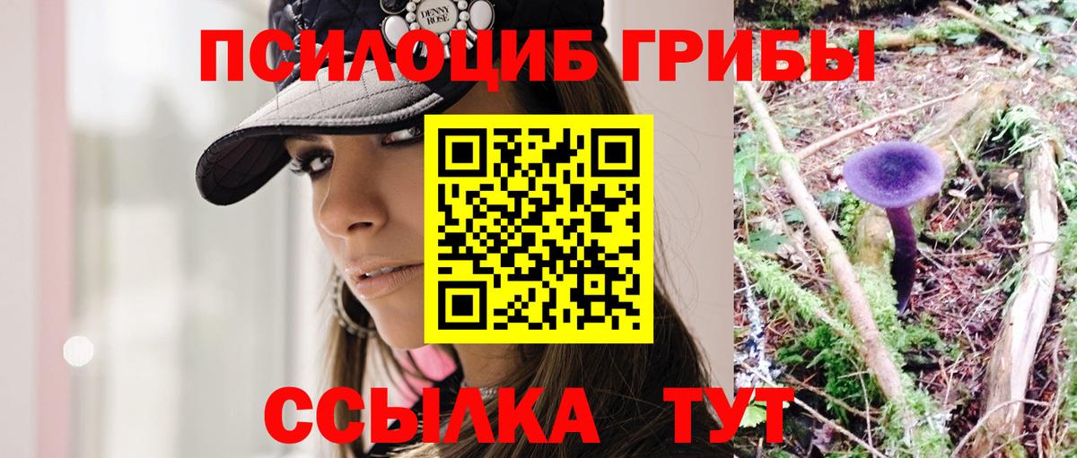 Псилоцибиновые грибы прущие грибы Шатура
